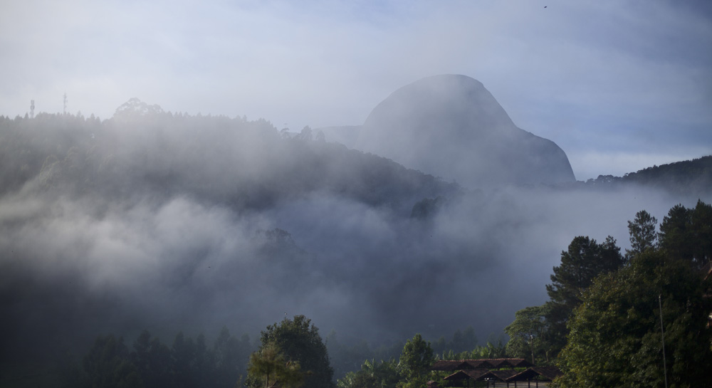 Fiona Sims travels to the Esprito Santo region in Brazil in search of the world’s finest coffee and to track down the exotic bird at the heart of its production